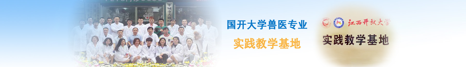 首页轮播2