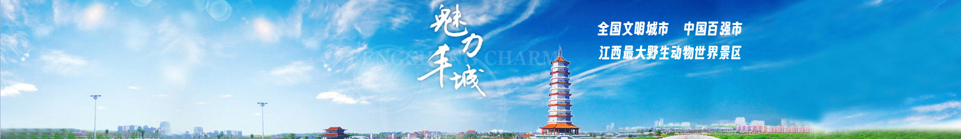 首页轮播4