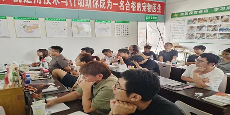 2025第三期宠医全科培训圆满收官