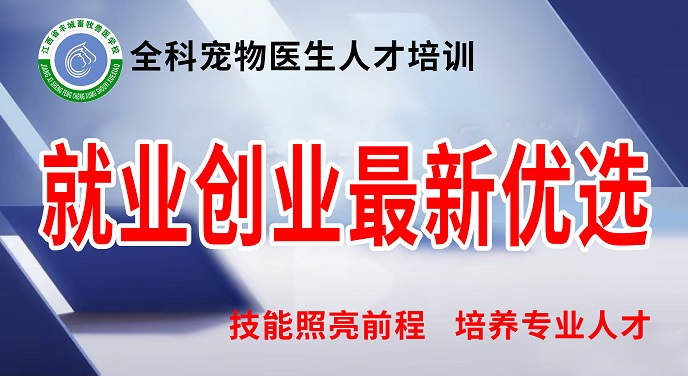 第81期宠物医生全科班，正在报名！