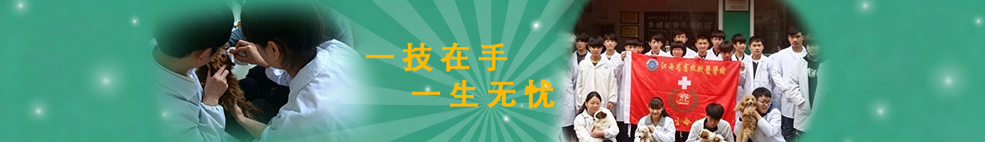 首页轮播3