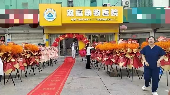 初心不改，逐梦而行     双福动物医院   李庚儒医生