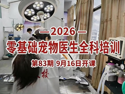 2026第三期全科宠物医生培训开始报名