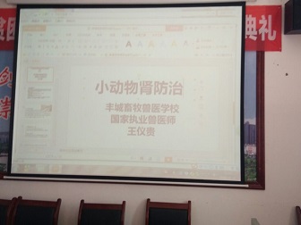 QQ图片017.jpg