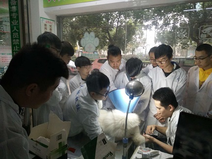微信图片_20190111204233.jpg