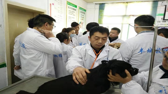 微信图片_20190303210816.jpg