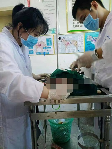 微信图片_20191004220305.jpg
