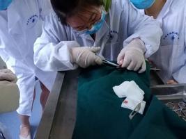 去势实操