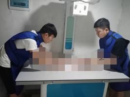 影像摆位分组实习