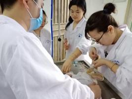 兔子药理毒理实习