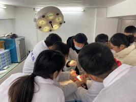 饲管放置操作