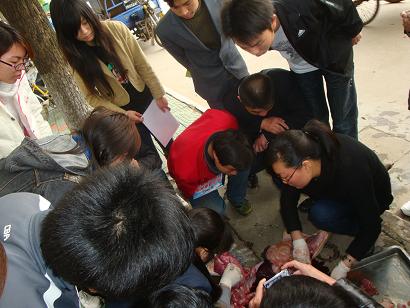 学员们在我校门诊实习
