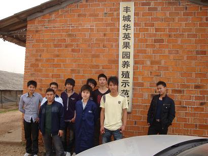 同学们在华英集团实习