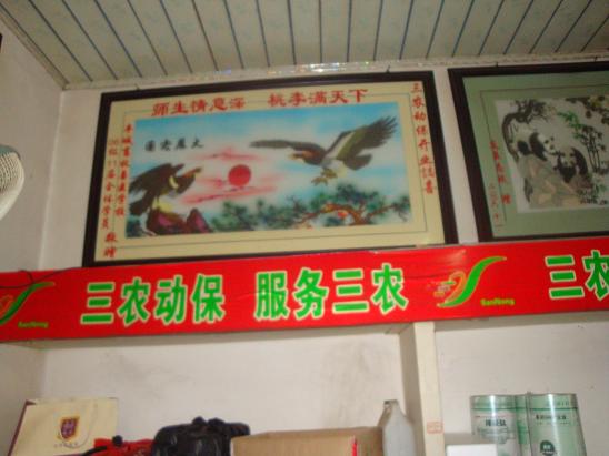 师生情谊