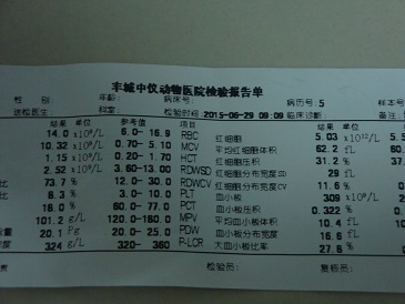 数据医学