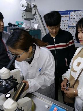 宠物检验实习