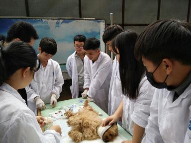 宠物医学专业实习课