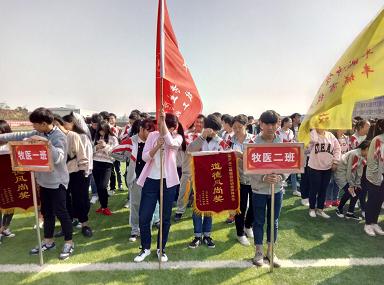 运动会