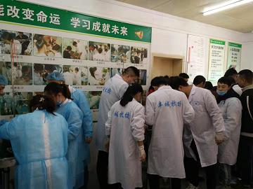 绝育分组手术